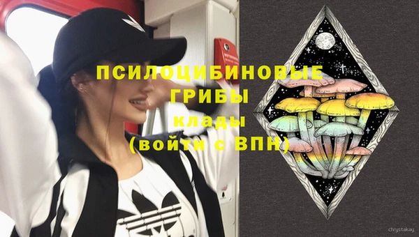 метамфетамин Белокуриха