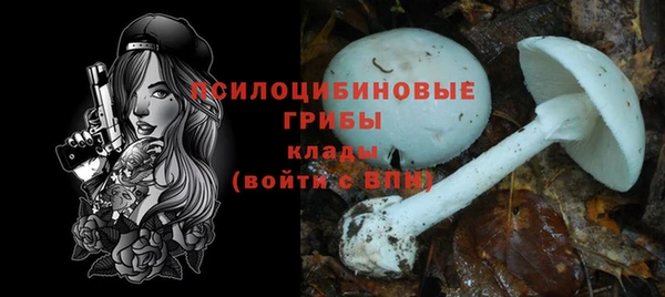 метамфетамин Белокуриха